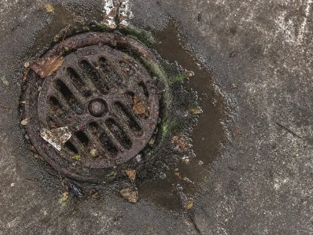 Ralo de pátio obstruído antes da limpeza